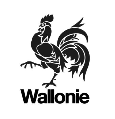 Wallonie logo noir